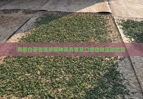 黑茶白茶普洱茶哪种茶养胃及口感功效区别比较