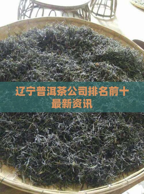 辽宁普洱茶公司排名前十最新资讯