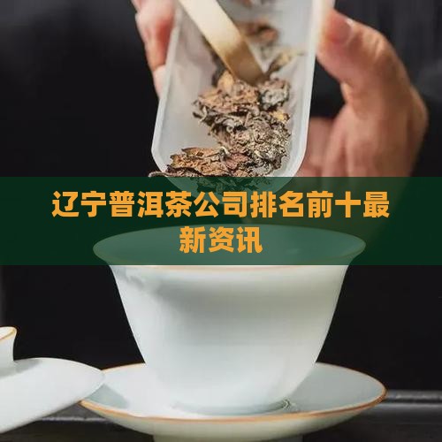 辽宁普洱茶公司排名前十最新资讯