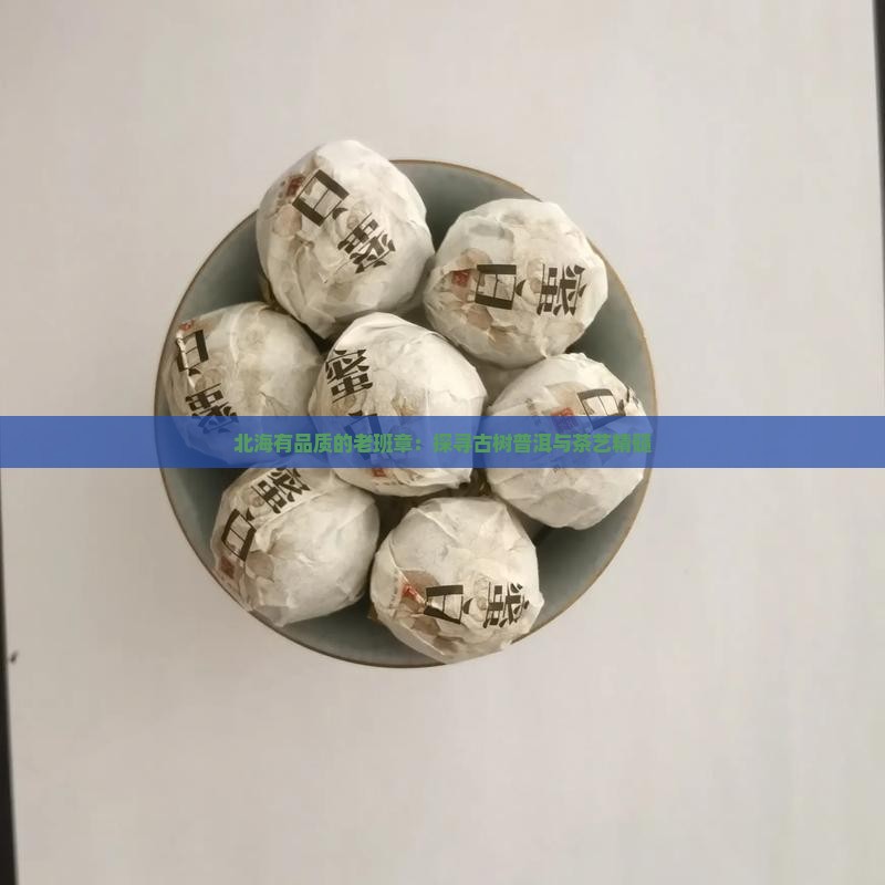 北海有品质的老班章：探寻古树普洱与茶艺精髓