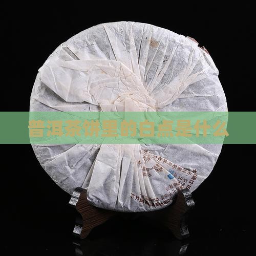 普洱茶饼里的白点是什么