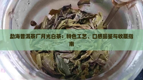 勐海普洱茶厂月光白茶：特色工艺、口感品鉴与收藏指南