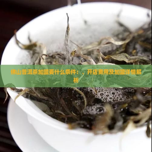 佛山普洱茶加盟要什么条件：、开店费用及加盟详情解析