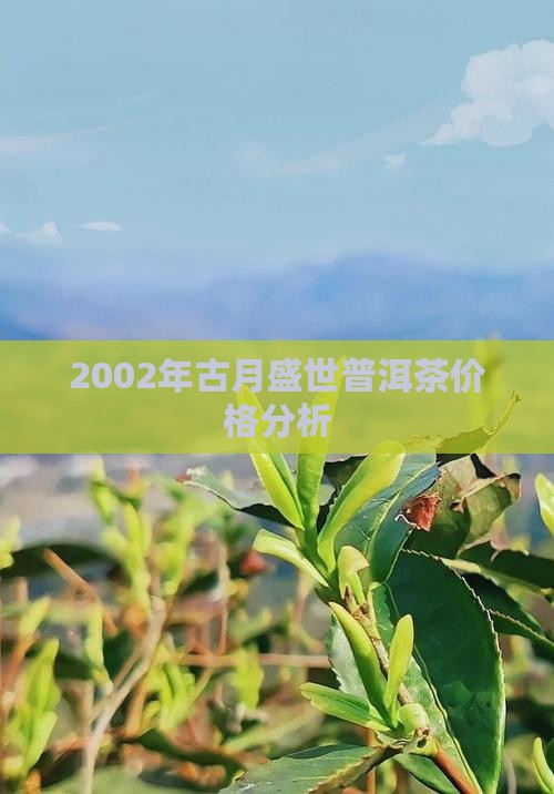 2002年古月盛世普洱茶价格分析