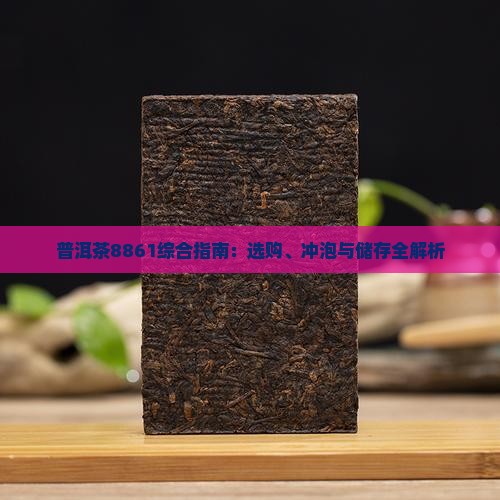 普洱茶8861综合指南：选购、冲泡与储存全解析