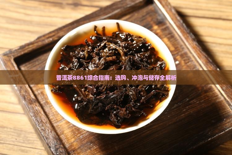 普洱茶8861综合指南：选购、冲泡与储存全解析