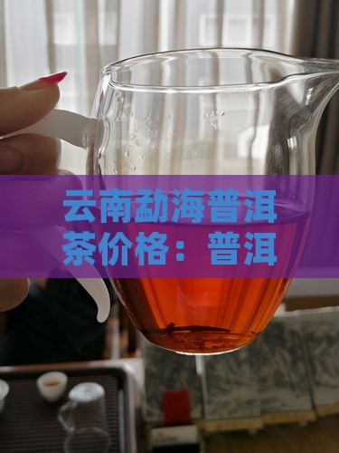 云南勐海普洱茶价格：普洱之韵
