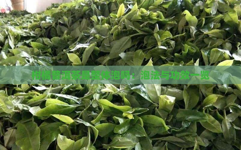 柑橘普洱茶是整体泡吗：泡法与功效一览