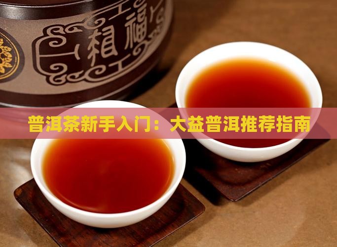 普洱茶新手入门：大益普洱推荐指南