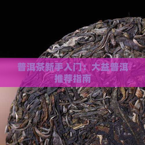 普洱茶新手入门：大益普洱推荐指南