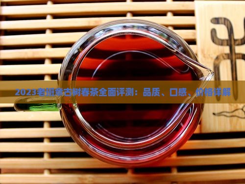 2023老班章古树春茶全面评测：品质、口感、价格详解