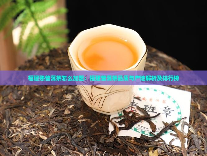 福建熟普洱茶怎么加盟：福建普洱茶品质与产地解析及排行榜