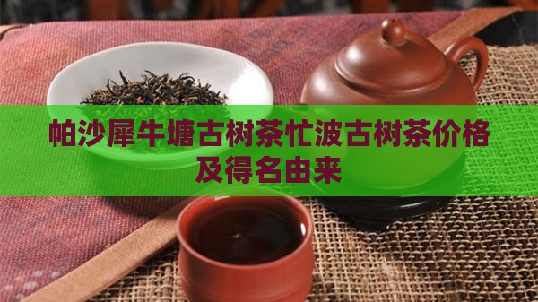 帕沙犀牛塘古树茶忙波古树茶价格及得名由来