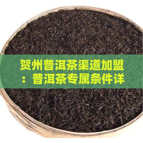 贺州普洱茶渠道加盟：普洱茶专属条件详解