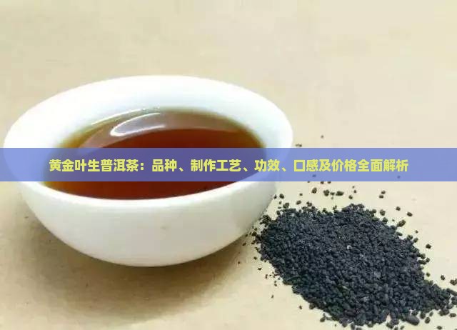 黄金叶生普洱茶：品种、制作工艺、功效、口感及价格全面解析