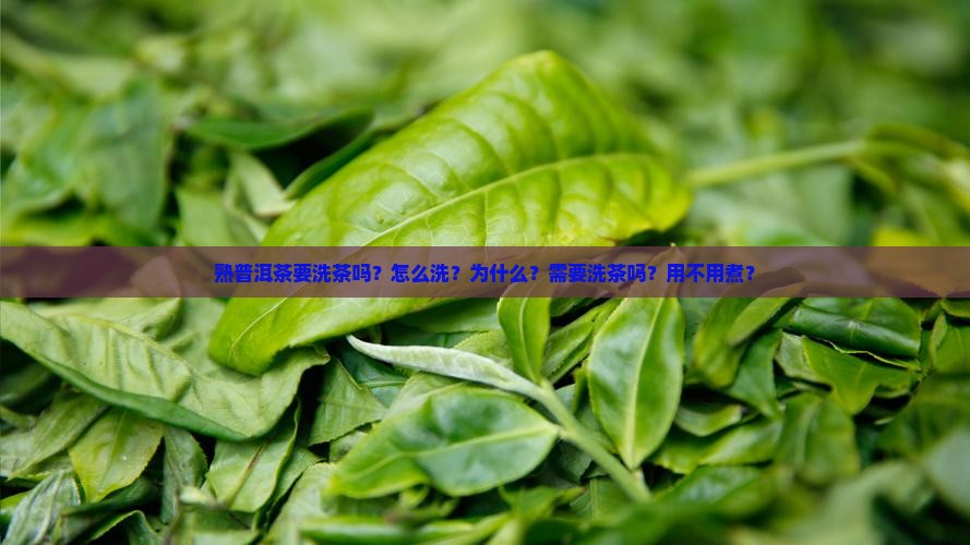 熟普洱茶要洗茶吗？怎么洗？为什么？需要洗茶吗？用不用煮？