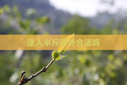 送人半斤茶叶合适吗