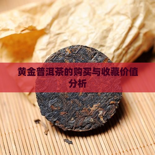 黄金普洱茶的购买与收藏价值分析