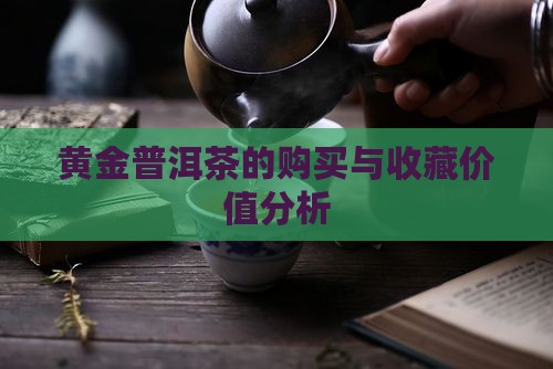 黄金普洱茶的购买与收藏价值分析
