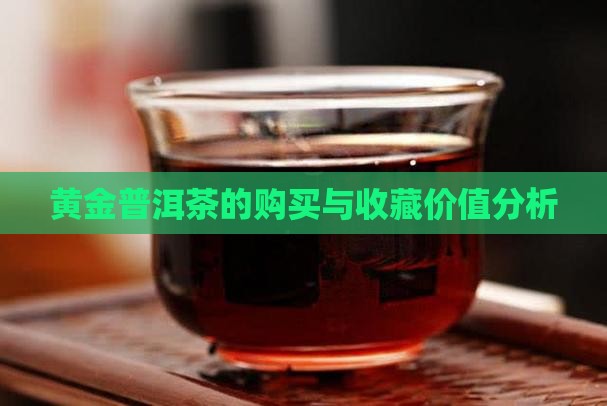 黄金普洱茶的购买与收藏价值分析