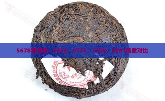 5678普洱茶：7556，5771，7758，5861品质对比