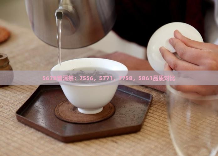 5678普洱茶：7556，5771，7758，5861品质对比