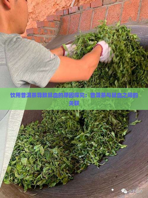 饮用普洱茶导致鼻血的原因探究：普洱茶与鼻血之间的关联