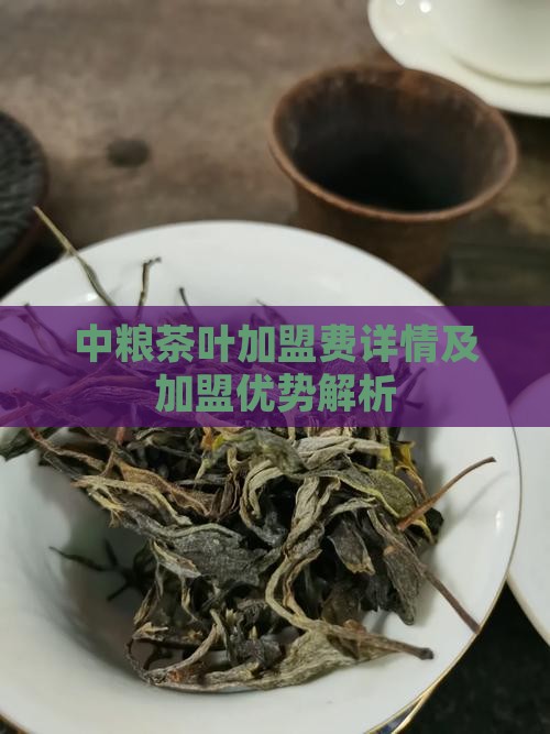中粮茶叶加盟费详情及加盟优势解析
