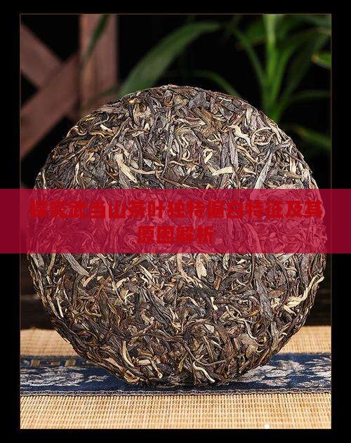 探究武当山茶叶独特偏白特征及其原因解析