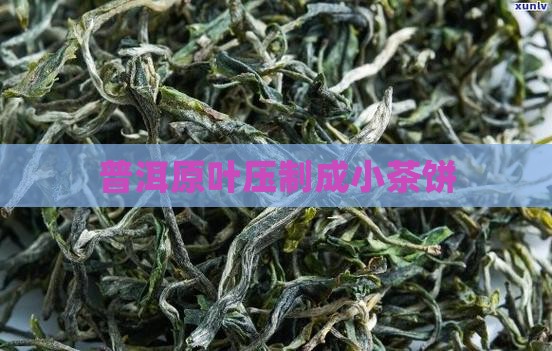 普洱原叶压制成小茶饼