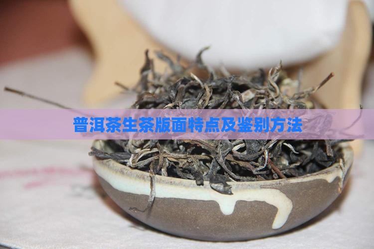 普洱茶生茶版面特点及鉴别方法