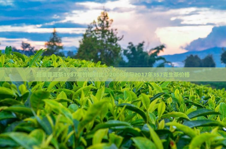 班章普洱茶1987年价格对比：2008年与2017年357克生茶价格