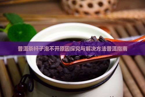 普洱茶杆子泡不开原因探究与解决方法普洱指南