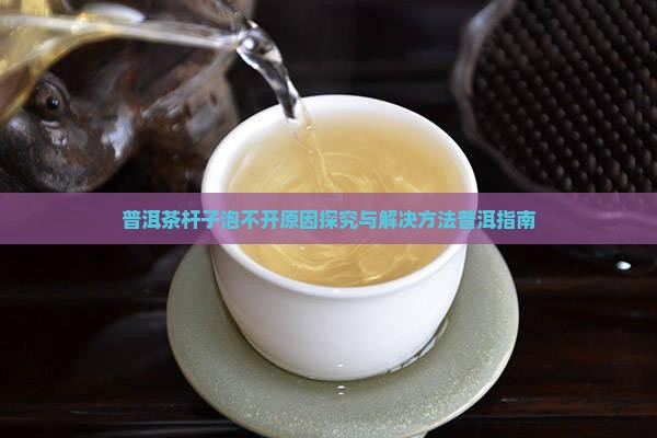普洱茶杆子泡不开原因探究与解决方法普洱指南