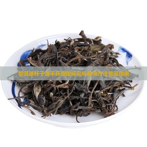 普洱茶杆子泡不开原因探究与解决方法普洱指南