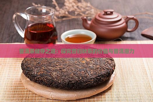 普洱茶储存之道：探究昔归秋茶的价值与普洱潜力