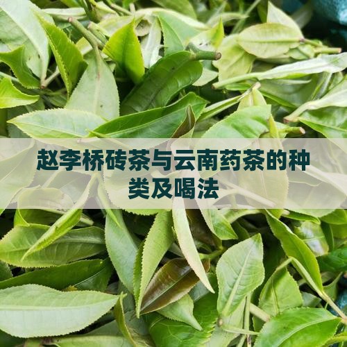 赵李桥砖茶与云南药茶的种类及喝法