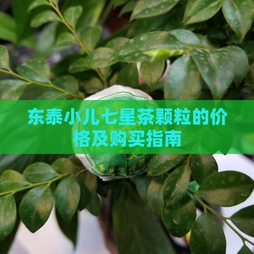 东泰小儿七星茶颗粒的价格及购买指南