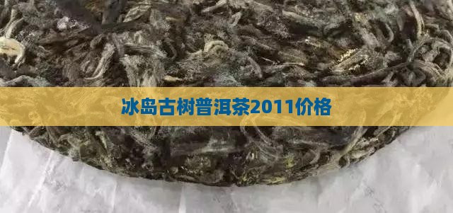 冰岛古树普洱茶2011价格