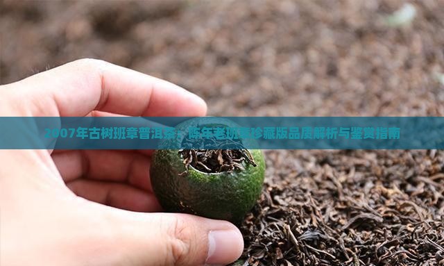 2007年古树班章普洱茶：陈年老班章珍藏版品质解析与鉴赏指南