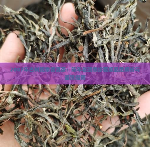 2007年古树班章普洱茶：陈年老班章珍藏版品质解析与鉴赏指南