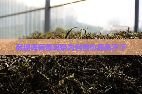 荷塘薄荷普洱茶为何售价居高不下
