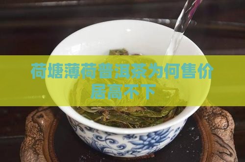 荷塘薄荷普洱茶为何售价居高不下