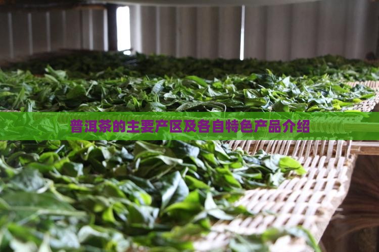 普洱茶的主要产区及各自特色产品介绍