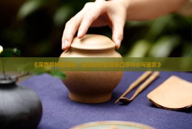 《深度解析普洱茶：老班章熟普洱茶口感特点与鉴赏》