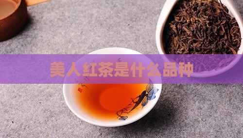 美人红茶是什么品种