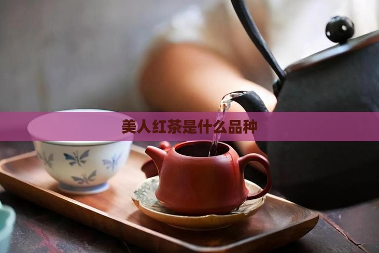 美人红茶是什么品种