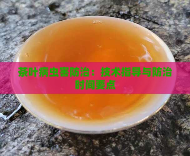 茶叶病虫害防治：技术指导与防治时间要点