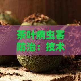 茶叶病虫害防治：技术指导与防治时间要点