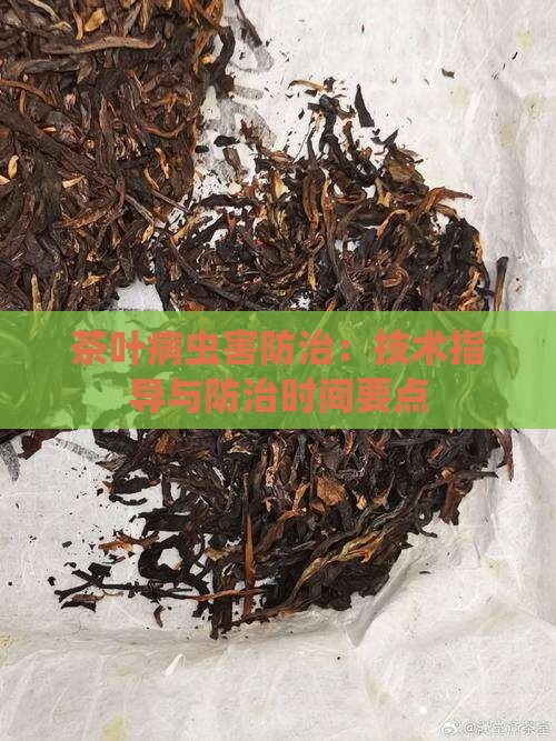 茶叶病虫害防治：技术指导与防治时间要点